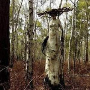 pattidelvillan avatar