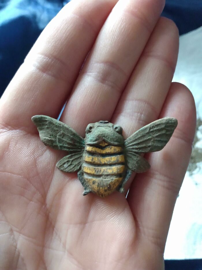 I Found This Bee With My Metal Detector