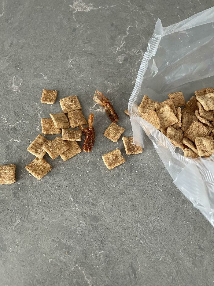 Finding Cinnamon Sugar Shrimp Tails In Your Cinnamon Toast Crunch