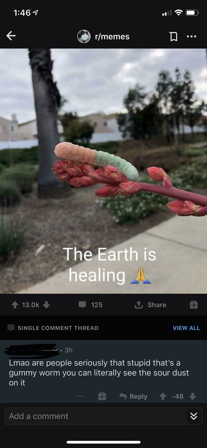 That’s A Yikes From Me Dawg