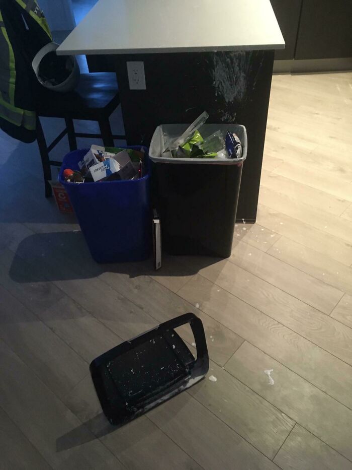 My Hair Dye Exploded In My Garbage