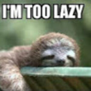 angelinaarcher avatar