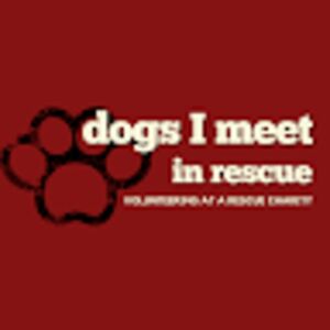dogsimeetinrescue avatar