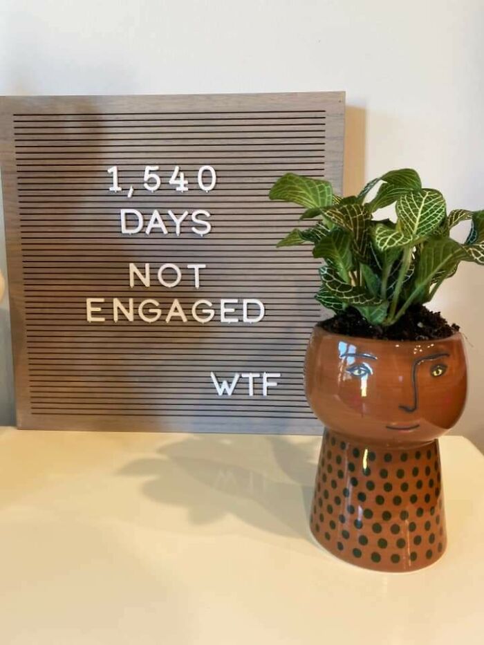 Found This In My Plant Fb Group, Op Said It Was A 'Joke'