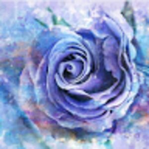 daisymandujano avatar