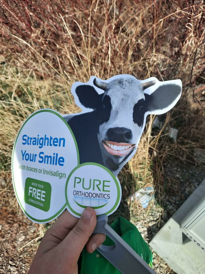 Got This Weird Ad In The Mail...not Gonna Go Their