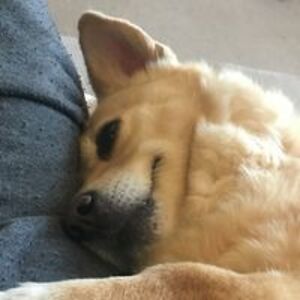 franksdiane48 avatar