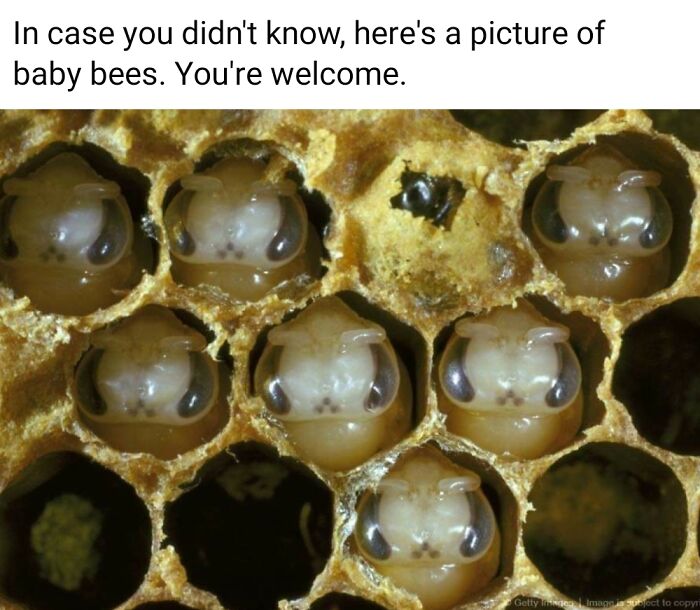 Am I The Only One Who Thinks This Is Horrific?