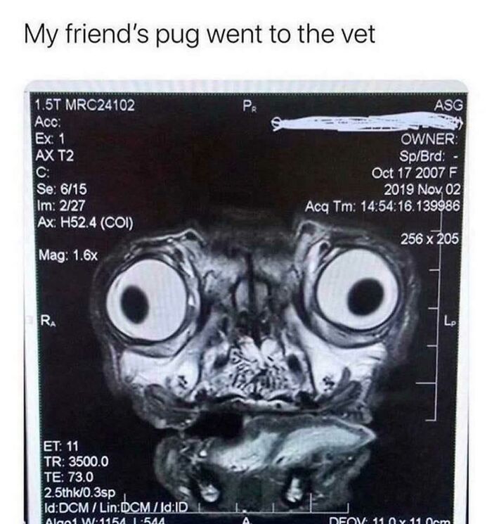 I Don’t Even Know How To Describe How This Looks