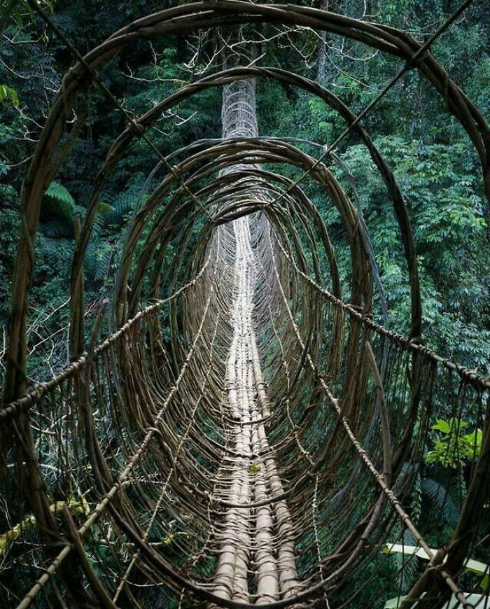 This Bridge In India...