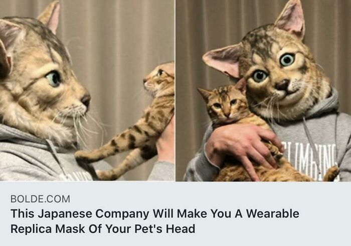 First The Cat Licker Now This...