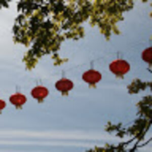 elisabethskladalova avatar