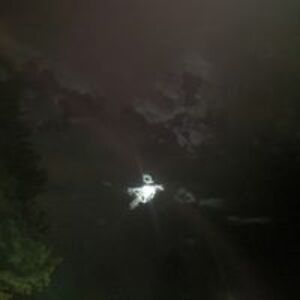 shawneen_hammer avatar