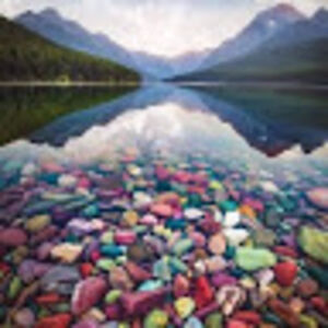 nancyarellano avatar