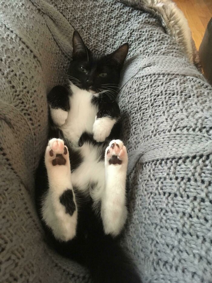 She Fell Between My Legs, Trapping Me For Hours