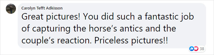 Hilarious Horse Photobombs Maternity Photo Shoot With Infectious Smile, Goes Viral Hilarious Horse Photobombs Maternity Photo Shoot With Infectious Smile, Goes Viral