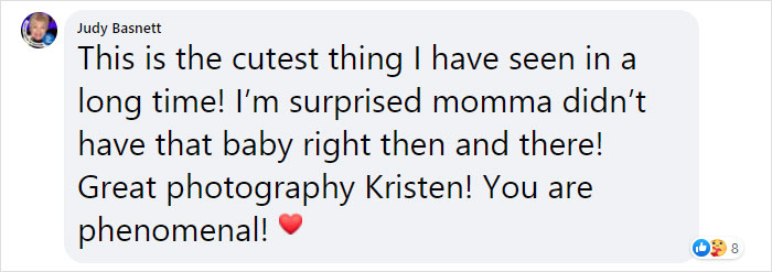 Hilarious Horse Photobombs Maternity Photo Shoot With Infectious Smile, Goes Viral Hilarious Horse Photobombs Maternity Photo Shoot With Infectious Smile, Goes Viral