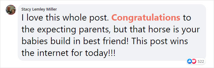 Hilarious Horse Photobombs Maternity Photo Shoot With Infectious Smile, Goes Viral Hilarious Horse Photobombs Maternity Photo Shoot With Infectious Smile, Goes Viral