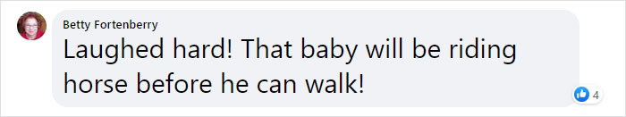 Hilarious Horse Photobombs Maternity Photo Shoot With Infectious Smile, Goes Viral Hilarious Horse Photobombs Maternity Photo Shoot With Infectious Smile, Goes Viral