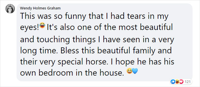 Hilarious Horse Photobombs Maternity Photo Shoot With Infectious Smile, Goes Viral Hilarious Horse Photobombs Maternity Photo Shoot With Infectious Smile, Goes Viral