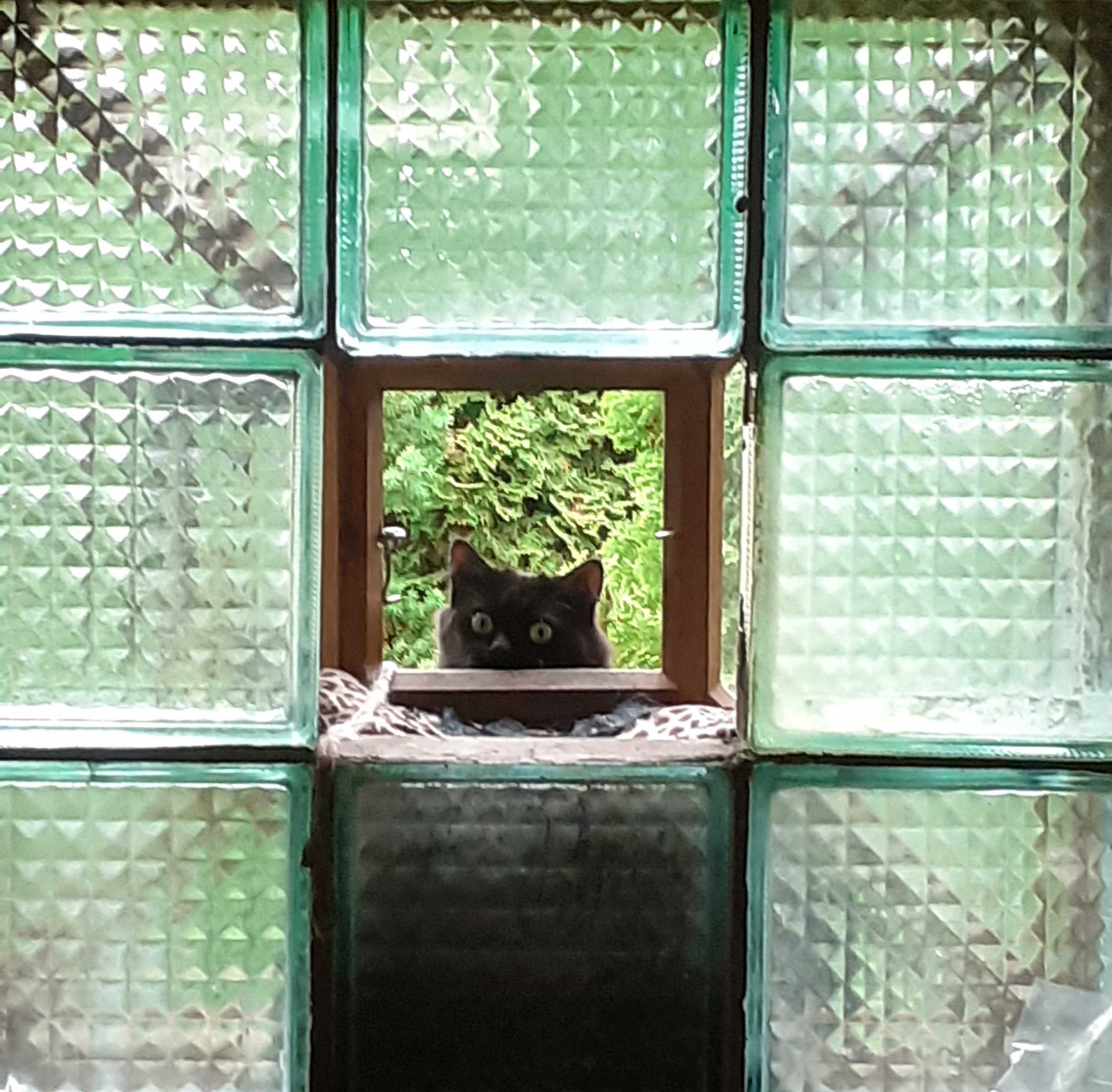 Hey Pandas, What’s That One Photo That Makes You Hysterical?