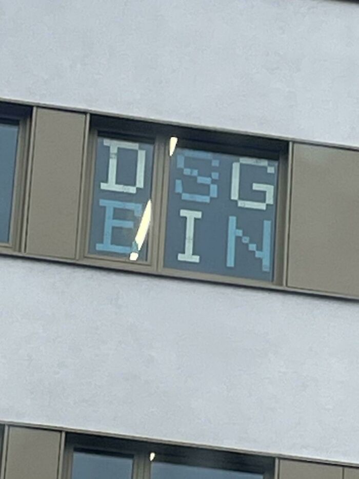 Dsgein