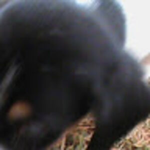 jenniferneighbors avatar