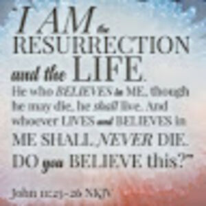 stephenbright avatar