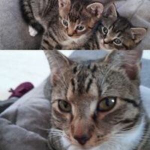 milton_karen01 avatar