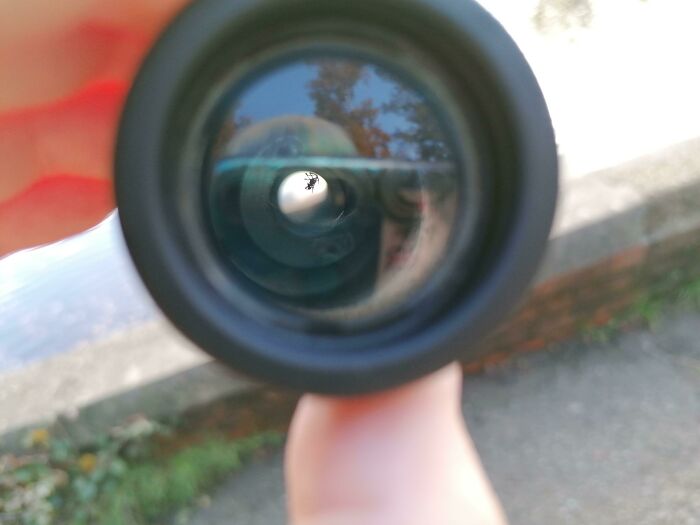 Found A Dead Little Spider Hanging Inside My Monocular Today. Bit Annoying