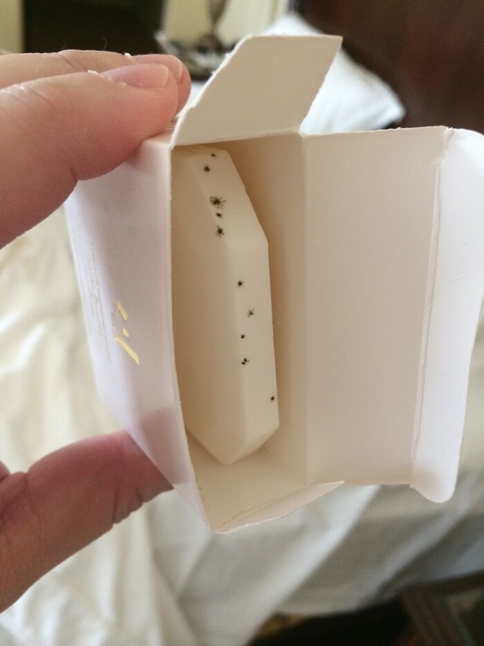 The Chocolate Covered Strawberries Were Fantastic. The Rose Petal Covered Bed Was Amazing. But, The Spider Covered Soap Might Have Been Going Too Far...