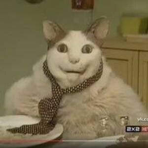 vlad_kollerov avatar