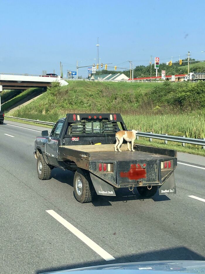 Is This What We Do Now? At 70+ Mph. Smh