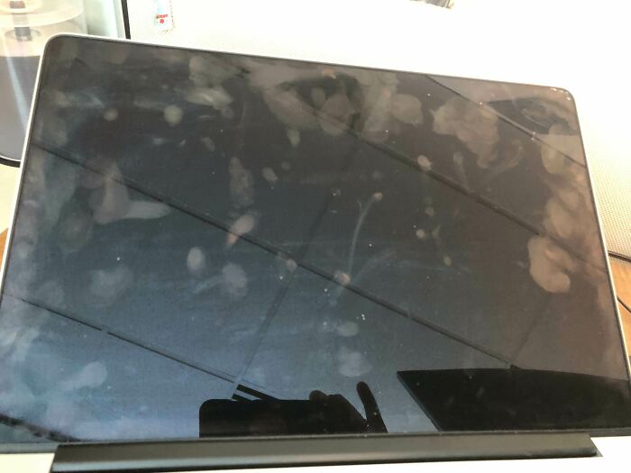 I Let My Friend Borrow My Laptop For A Day