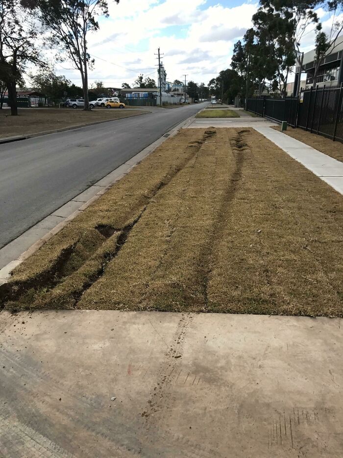 A Truck Drove On Turf I Layed Yesterday
