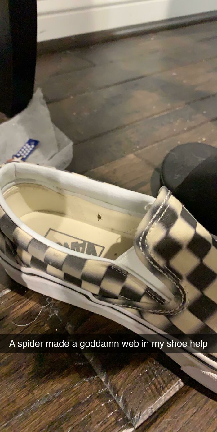 A Spider (Or Some Other Bug) Decided To Make A Web In My Shoe.