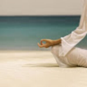 serenityfreedom avatar