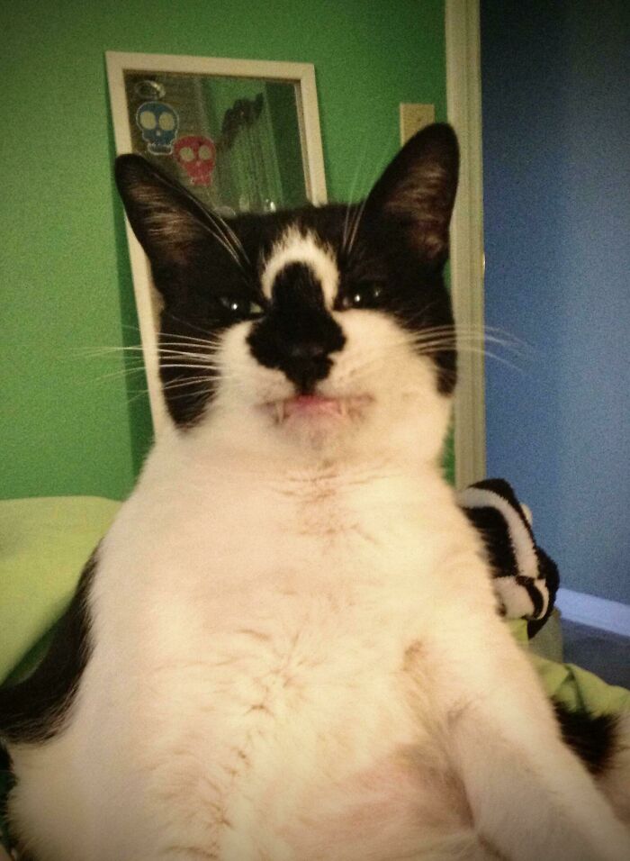 He Has A Very Handsome Smile