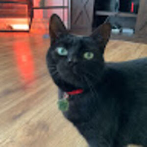 thatonefriend avatar