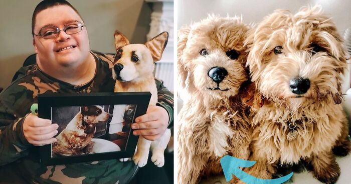 30 Pets And Their Stuffed Copies Made By This Company