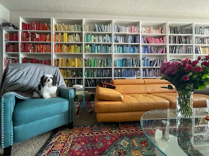 Color-Coded My Books