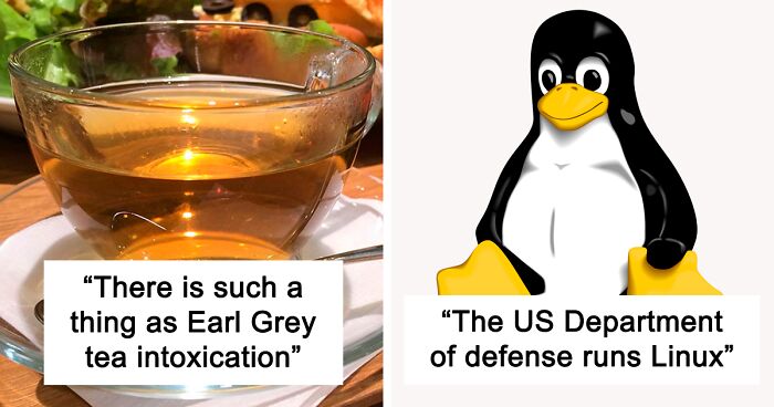 50 Interesting Things People Didn’t Learn At School And Decided To Share Them In This Online Group (New Pics)