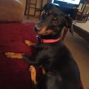 cassie_street avatar