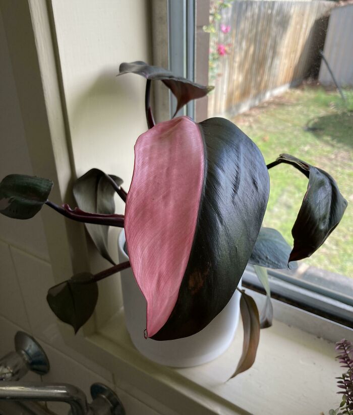 It’s The Symmetry For Me