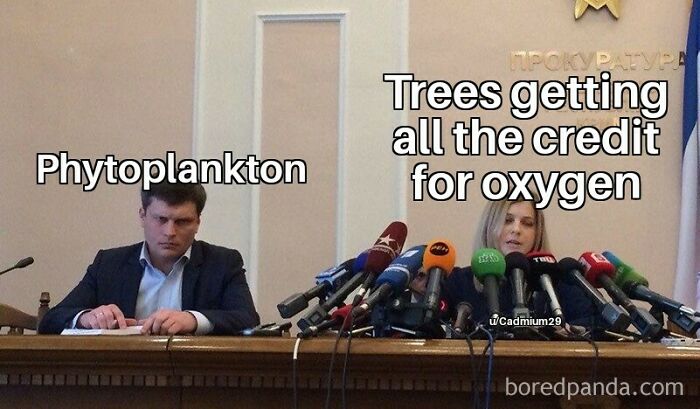 It Really Do Be Like That