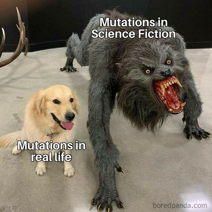 Golden retriever labeled "Mutations in real life" beside a werewolf labeled "Mutations in Science Fiction," highlighting clever science memes.