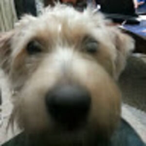 bartonchittenden avatar