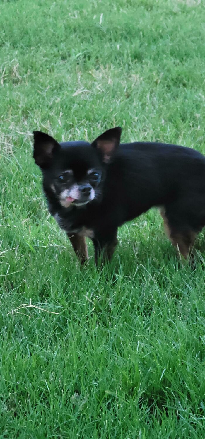 Got Her Rescued Today. Welcoming Liberty To Our Home