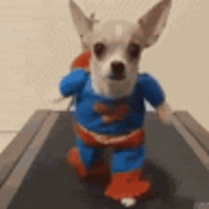 jonathanmoore avatar