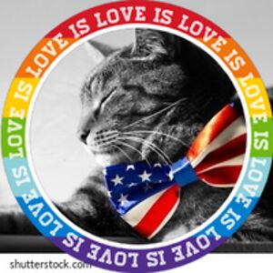 sheilabuffalo avatar